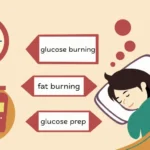 Does Sleeping Count as Fasting? Understanding the Metabolic Power of Sleep