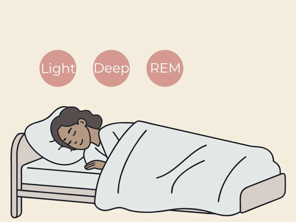 Stages of sleep and their role in body energy restoration