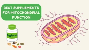 Read more about the article The 10 Best Supplements for Mitochondrial Function, According to Science